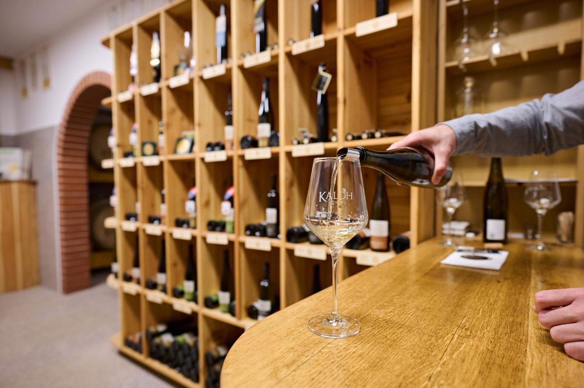 Wine House Kaloh Villa Maribor Eksteriør billede