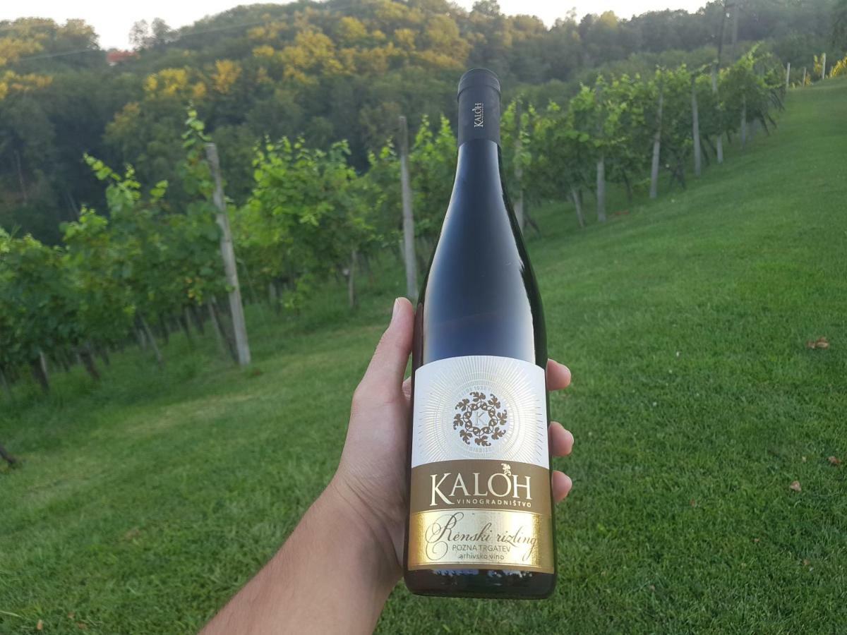 Wine House Kaloh Villa Maribor Eksteriør billede