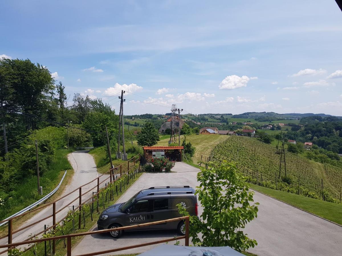 Wine House Kaloh Villa Maribor Eksteriør billede